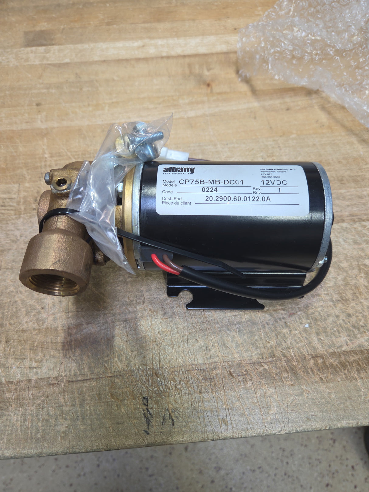 Albany Water Pump (12V)
